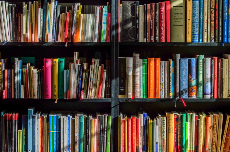 vitrine-COARAZE-min_books_bookstore_book_reading_shop_writer_sale_books_read-822866