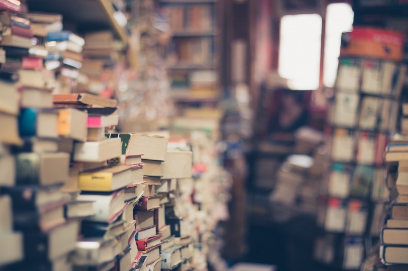 vitrine-COARAZE-min_books_stack_book_store_stack_of_books_2nd_hand_retro_hipster_shop-829090